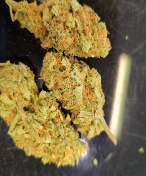 Amnesia Lemon