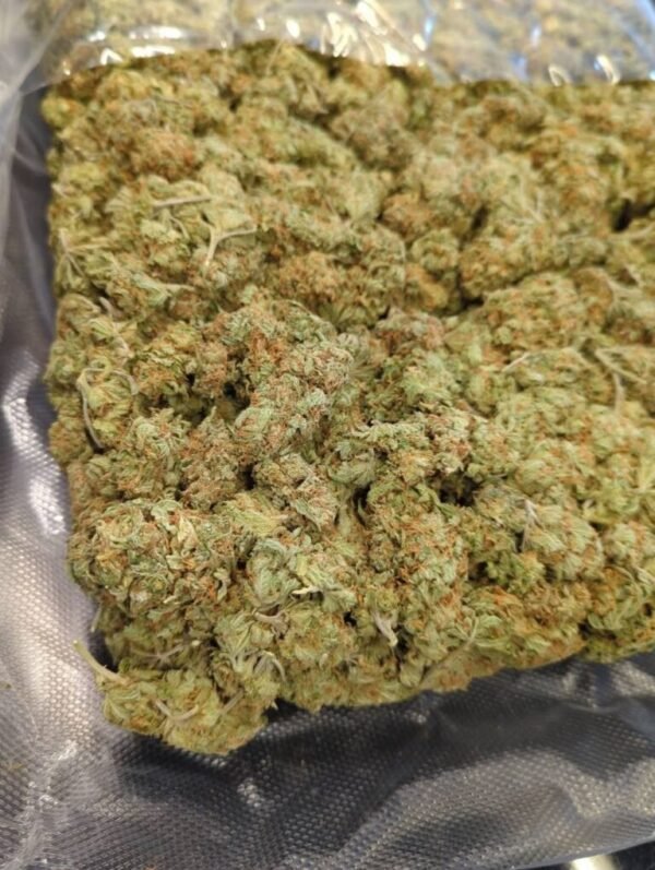Amnesia Lemon