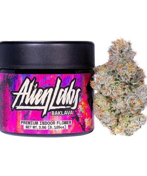 Baklava Baklava – THC: 17%