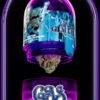 Gas Gimlet – THC: 26%