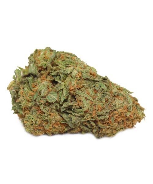 Girl-Scout-Cookies Girl Scout Cookies – THC: 25%