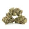 Gorilla Glue #4 - THC: 24%