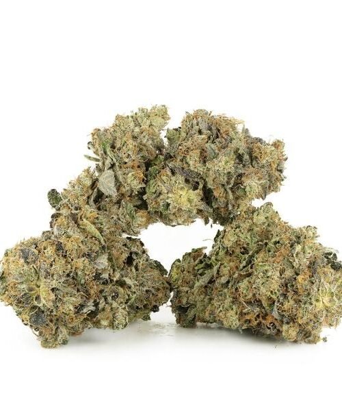 Gorilla-Glue-4-1-1 Gorilla Glue #4 - THC: 24%