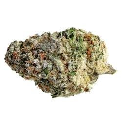MAC 1 – THC: 22%