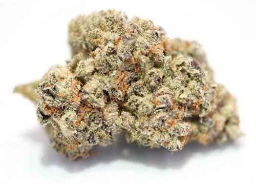 Purple Punch – THC: 18%