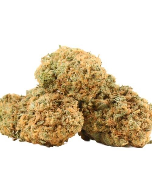 Sunset-Sherbet-600x600 Sunset Sherbet – THC: 18%