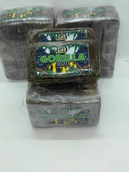 GORILLA-GLUE-HASH Gorilla Glue Hashish