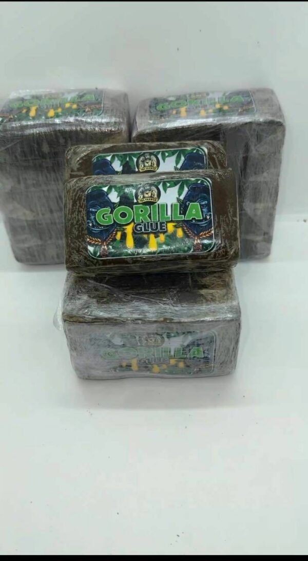 GORILLA-GLUE-HASH Gorilla Glue Hashish